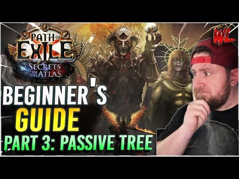 Path of Exile Beginner's Guide: Passive Tree and Campaign Tips!
