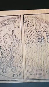 Reptilian Origins Chapter 1 Part 4 #mystery #adventure #reptilian #ancientaliens #destroytheoligarchy | Cosmic Spider