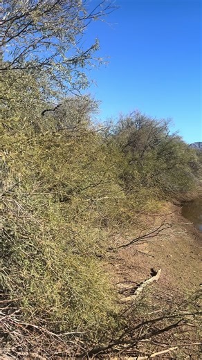 Exploring an Abandoned Tank in the Arizona Desert