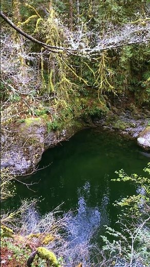 Edge Above | Springtime Mossy Forest Reflections | Twin Falls | Washington #forest #nature #river
