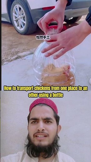 🐔 Amazing Bottle Hack for Chicken Transport | Easy & Smart Idea #viralreels #trending