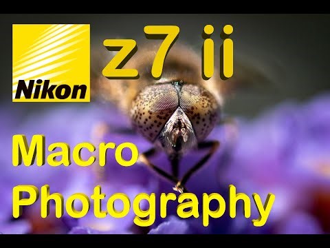 Nikon z7 ii Macro Photography