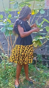 Sodom apple leaf spiritual uses .... | Green Nature Herbal Healing center