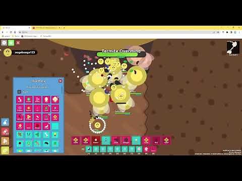 Florr.io HACKS IN FLORR!?!?