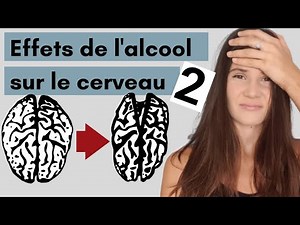 Les effets de l'alcool sur le cerveau PARTIE 2