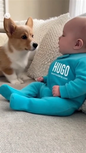 48K reactions · 1.9K shares | Lien en bio pour faire les mêmes vidéos. Bébé Hugo parle avec son nouveau chien #teamsolaria #bebe #ia #hugo #drole | Team solaria | Facebook