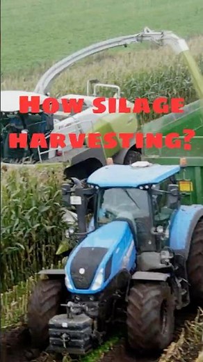 How is the silage harvesting process carried out using modern machinery?