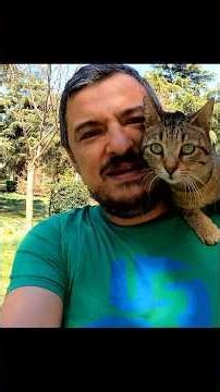 The excitement of a cat meeting the man who saved its life months later.