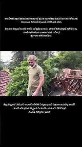 මෙහෙමත් පාලනයක් 🙏#anura_kumara #npp #shorts #viralvideo