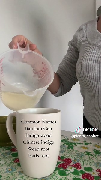 Traditional Chinese Medicine (TCM) has been practiced for more than 5000 years in China, and now arosund the world. Some of the medicine we use today like Licorice was first studied by the erudites I am sharing here with you. Ge Hong ~ (283-343 CE) Very well known for his accomplishments in medicine and alchemy. Defiated his lofe to searching for physical immortality and originator of first aid in TCM. Shen Nong ~ (28th century bce) Divine Farmer, the pioneer to instruct humans on how to use pla