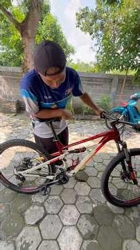 Ready again Polygon Siskiu D5 2022 - Fully original still in stock