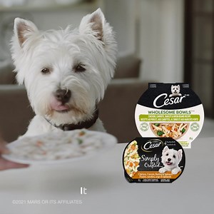 REAL FOOD FOR DOGS. Food so good, they’ll think it’s from your plate. Introducing CESAR WHOLESOME BOWLS™ & SIMPLY CRAFTED™. | CESAR Canada