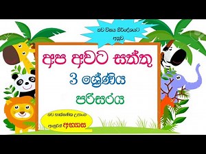 3 wasara parisaraya apa awata sathun | apa awata sathun grade 3 |grade 3 parisaraya apa awata sathun