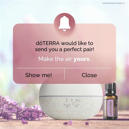 4.4K views · 44 reactions | Don’t be fooled by its small size—the...