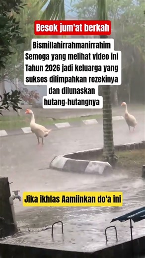 JIKA IKHLAS AMINKAN DO'A INI #DOAMUSTAJAB #DOACEPATKAYA #BISMILLAHFYP #doa