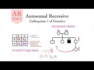 Autosomal RECESSIVE Rules and Calculation Examples (Genetics Col 1) - Nadia Aldaher