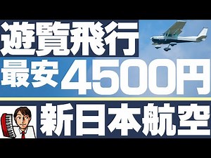 操縦席に座る【4500円】遊覧飛行！鹿児島空港で感動体験！新日本航空【NJA】セスナ172スカイホーク搭乗レビュー！大迫力のパノラマ！気分はパイロット！