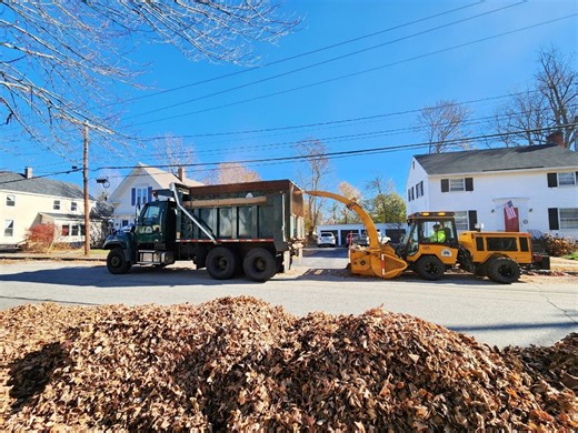 Concord Fall Leaf Collection Begins October 27