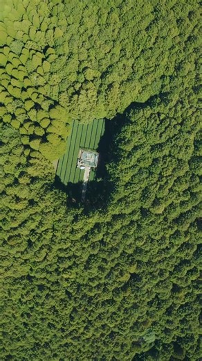 Your Ultimate Guide to Ureshino on Instagram: "Tea tourism in Kyushu (Ureshino)🍵🌱 Video credit: @hiroki_funatsu Ureshino offers a variety of experiences, from touring local tea spaces and enjoying tea-making with a Tea Butler to scenic Tea Cycling and Walking with Tea through the town’s historical and natural sites. It’s a journey that allows you to scientifically experience the relaxing benefits of the forest and tea culture, making it a perfect destination to rejuvenate your mind and body. F