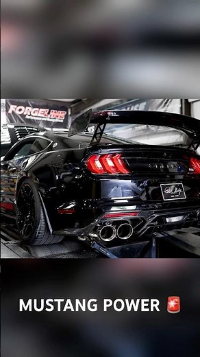 MUSTANG DYNO!! #entertainment #ford #fordmustang #dyno