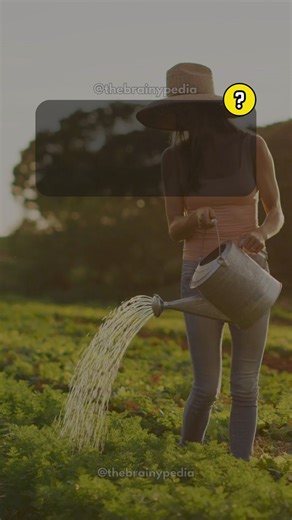 Food Trivia Quiz Game. Interesting Food Facts You Should Know. Follow us for more fun quizzes and interesting facts. . . #BranyPedia #facts #triviachallenge #interestingfacts #quiz #quizvideos #funfacts #QuizTime #TriviaTime #didyouknowfacts #DidYouKnow #moreyouknow #awesomefacts #triviaquiz | Brainypedia