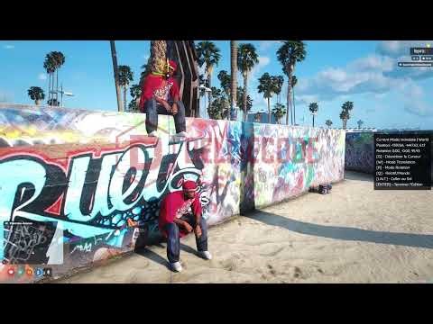 [STANDALONE] DC_ADJUSTEMOTE | Advanced Emote System | FiveM Script ✔️