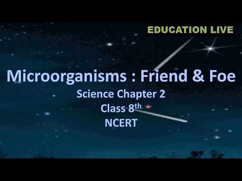 Microorganisms – Friend & Foe, Science Chapter, Class 8th, NCERT, CBSE syllabus