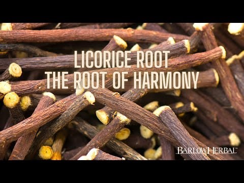 The Health Benefits of Licorice root