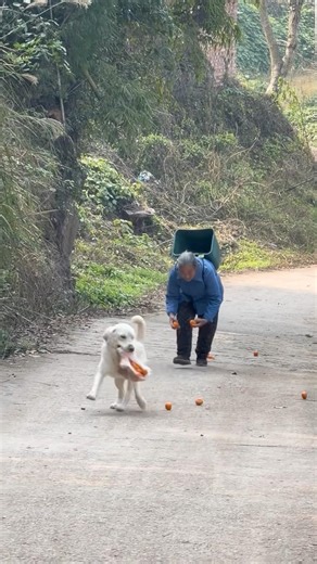 He just wanted to help his grandma 😂❤️