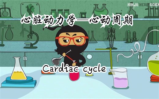 6.【心脏动力学】Cardiovascular -cardiac cycle 1