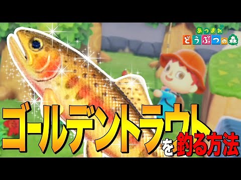 [Animal Crossing: New Horizons] A must-see for beginners! How to catch the miraculous purebred "G...