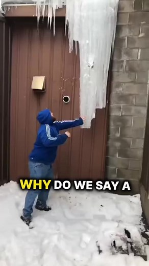 Random Facts That You Don’t Think Of Always #reels #factsyoudidntknow #factsoflife | Real Facts