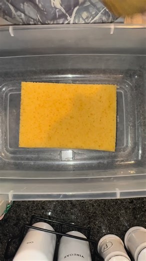 Had to play with some jelly #asmrsounds #foryoupage #fyp #likeandshare🔥❤️ #like