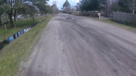 Master Chief suit check helmet check Arm guards check. Dash cam check < ready to ride> Bluetooth system online check. All systems go for lunch. Dark horses? Oh the suspense. Welcome to St Augustine Florida folks. | Chantha Orn | Facebook