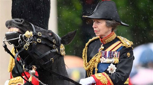 Princess Anne breaks silence amid injuries, concussion