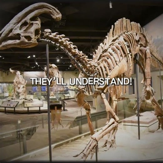 Dinosaurs from millions of years ago and dinosaurs today part 3 Edits