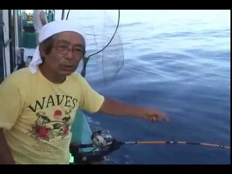 タラの釣り方