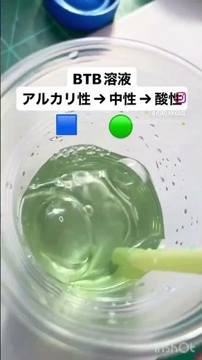 BTB水溶液で光合成実験やってみた #理科 #科学実験 #ゆうこ博士 #科学あそび #知育