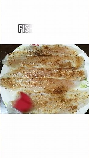 Pangasius Fillet Fish how to cook sandwiches maker