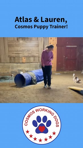  Watch Atlas Build Confidence Through Agility!  In this video,...