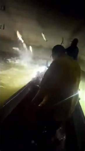 Swamp Eye Silent Series Bowfishing Lights with App Control! 📱💥