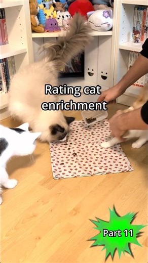 Part 11 – Rating Cat Enrichment