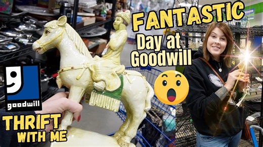 Fantastic Day at Goodwill | Thrift with Me | Crazy Lamp Lady Reselling