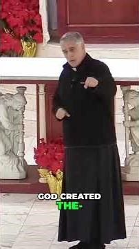 Mary's Grace: Immaculate Conception Explained (Fr. Mark Beard) #shorts