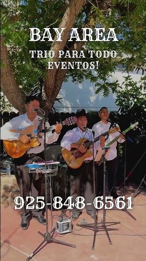 Bay Area Mariachi Trio for Hire | Parties, Weddings, You Name It!