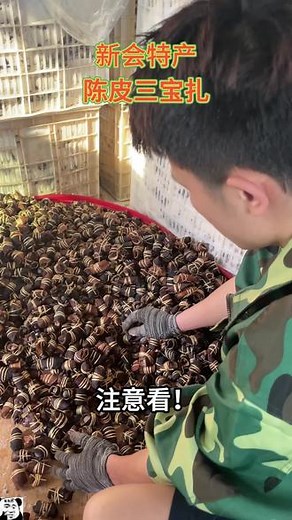 为什么这么多人都不知道三宝扎是什么?科普一下你就知道