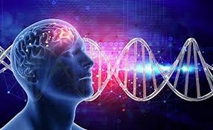 Category: Italian Ancestry