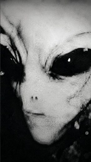 Solipsi Rai: The Alien Race We Call “Grays”