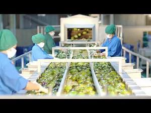 PRAN Mango Pulp Making