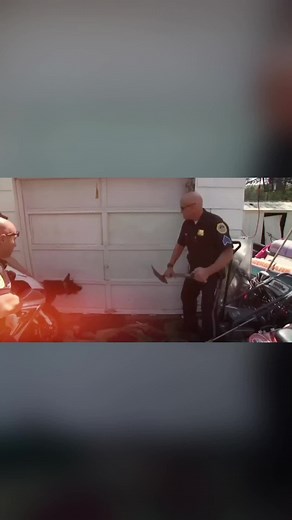 Police Dog 🐕 #us #foryou #today #new #moment #tiktokviral #videotrending #beautifulgirl #allure#police#cops